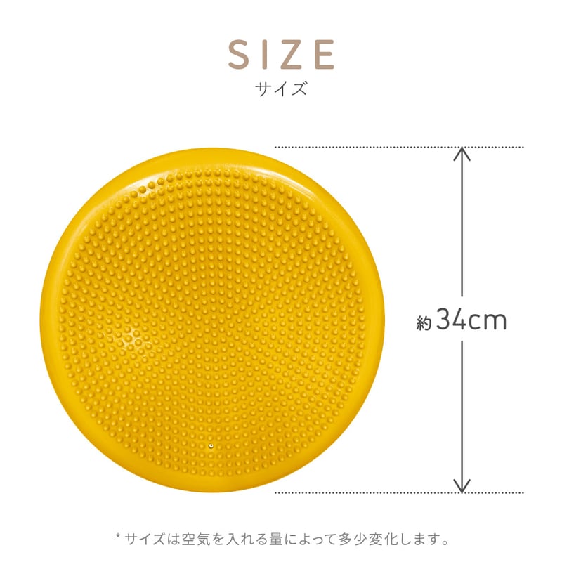 バランスドボディ　新品　サークル DINGO バランスディスク ラウンド | EPIC-WAN