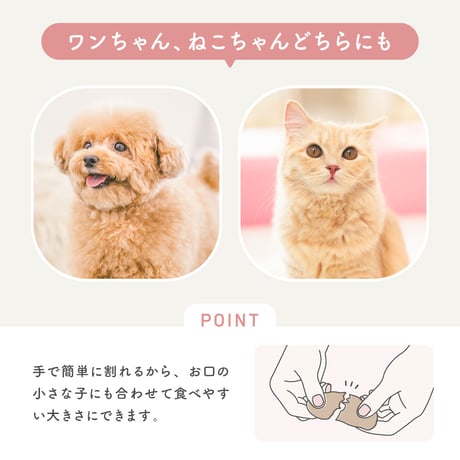 EPIC-WAN　手作りちっぷす