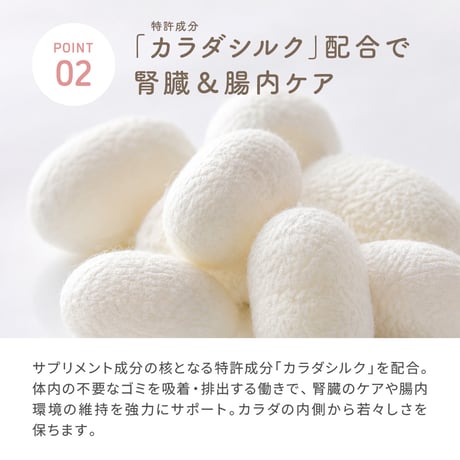 SILKFULL　犬用サプリおやつ