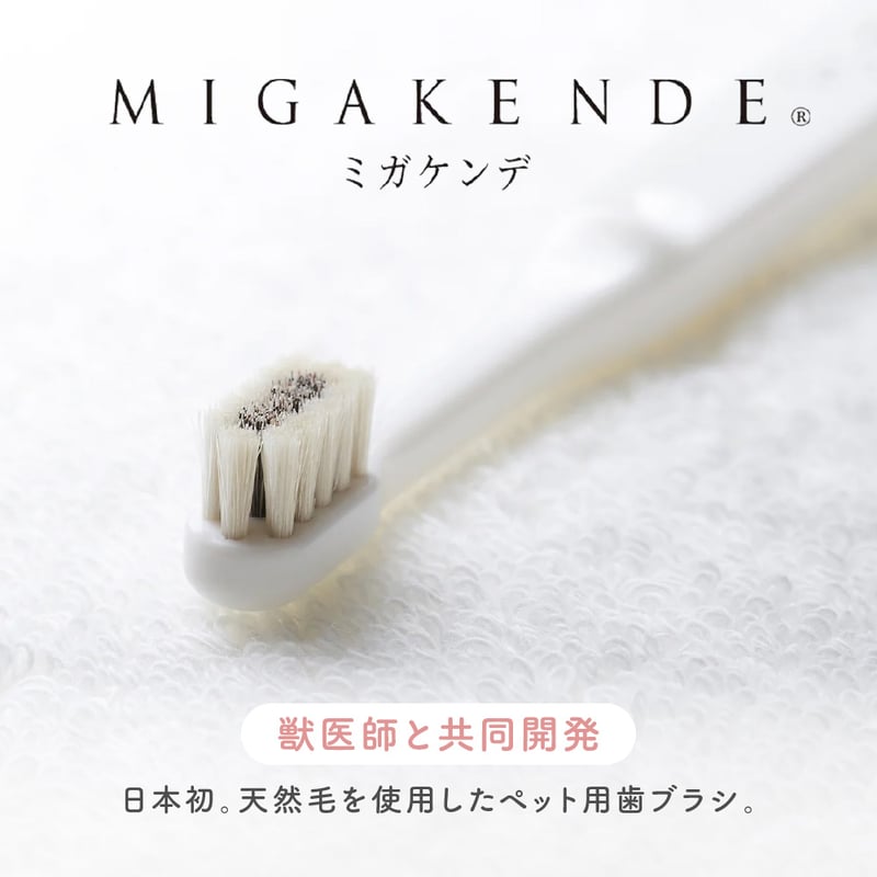 MIGAKENDE | EPIC-WAN