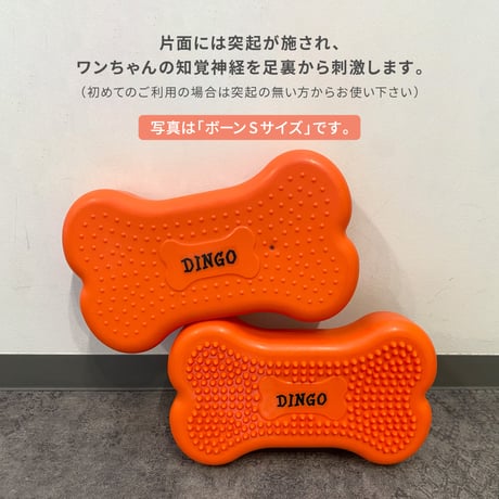 DINGO　バランスディスク　ボーン  Ｍサイズ