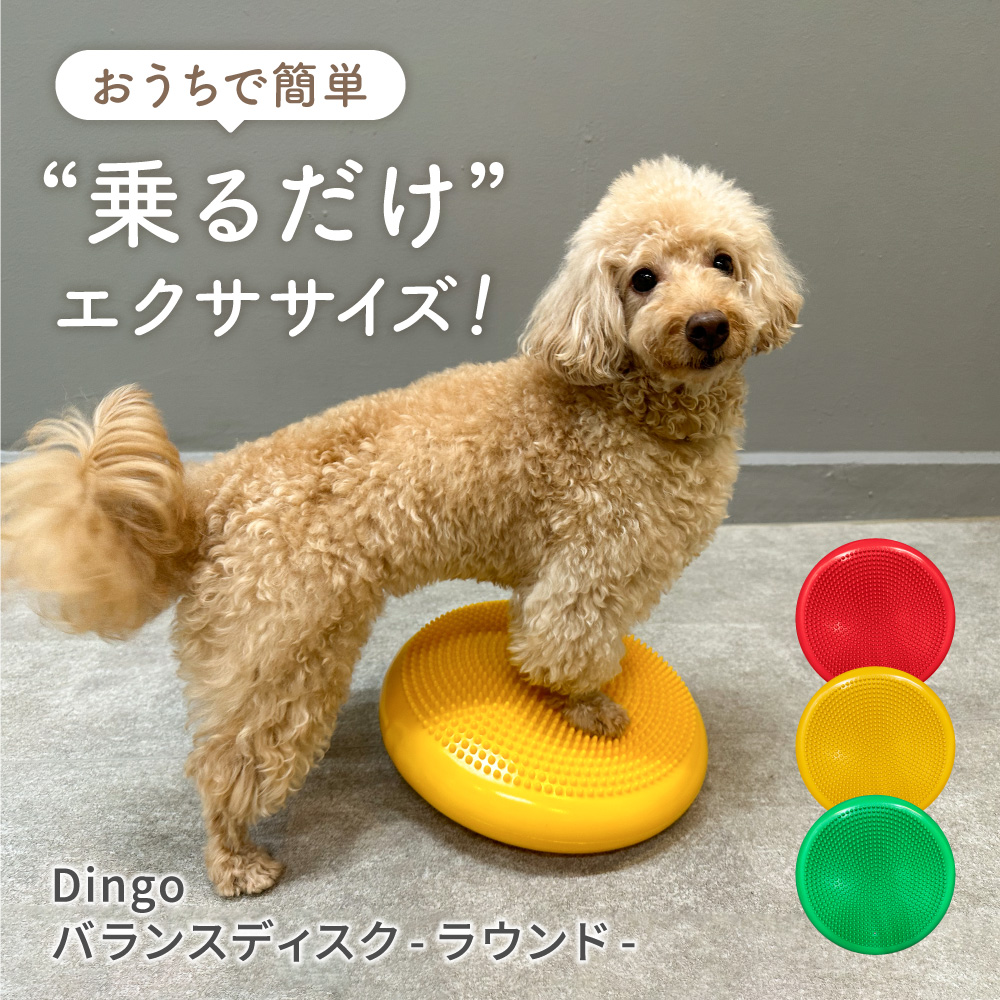 犬用　バランスディスク 大 Amazon | JON TORUDO 犬用 バランスディスク バランスボード