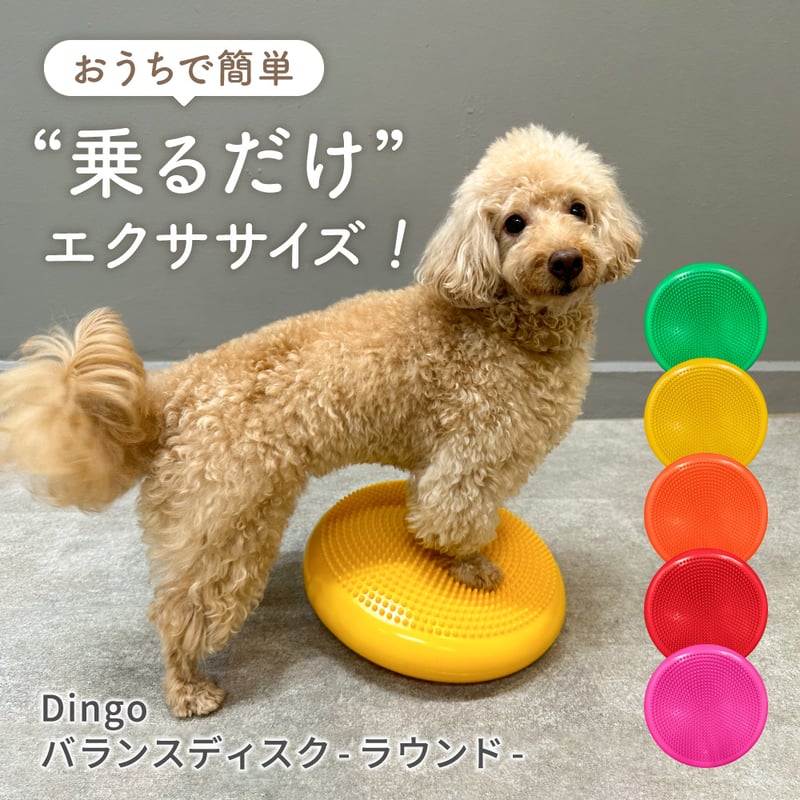 DINGO バランスディスク ラウンド | EPIC-WAN