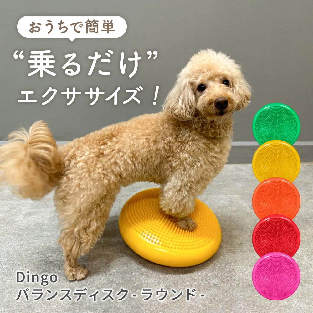 DINGO バランスディスク ラウンド | EPIC-WAN