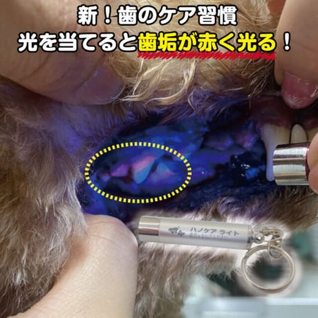ハノケア　チェックライト