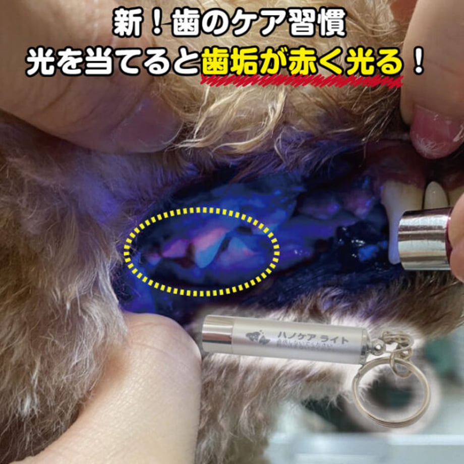 67d259e2ef91a7a299bb9d47