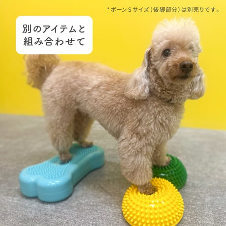 DINGO　ヘッジホッグ　バランスポッド