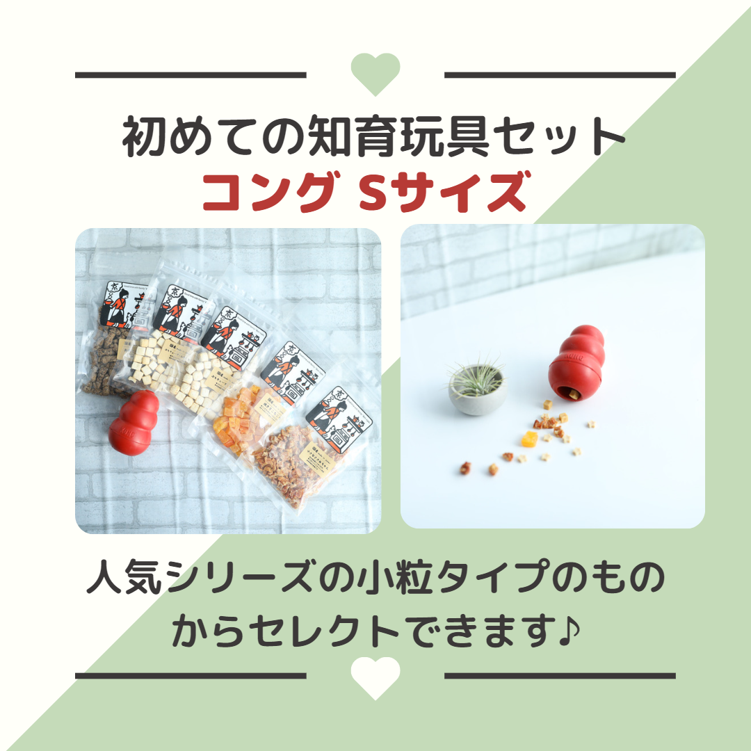 初めての知育玩具セット コング Sサイズ | EPIC-WAN