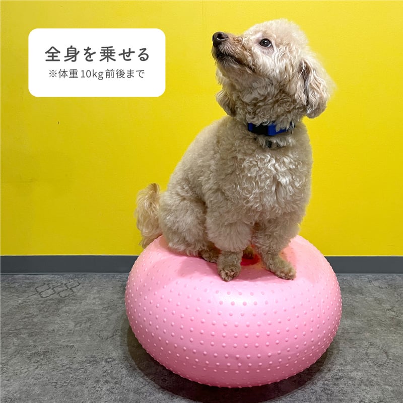 ピンク バランスクッション 滑り止め