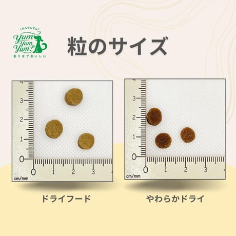 yumyumyum　マグロ　ドライタイプ