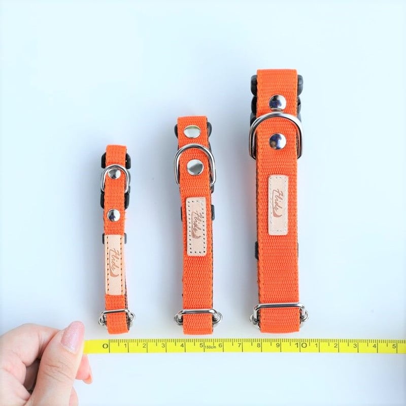 Flids 首輪 SSサイズ(幅1cm) | EPIC-WAN