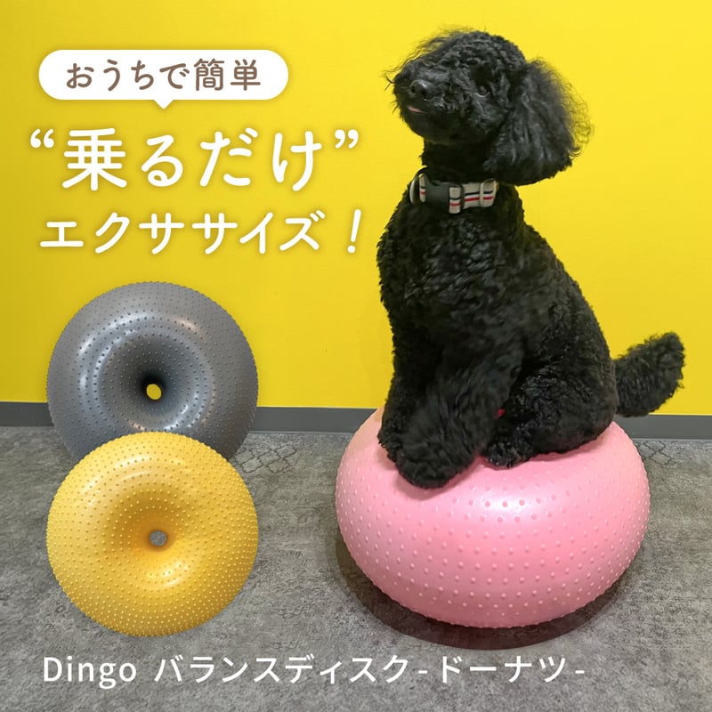 DINGO バランスディスク ドーナツ | EPIC-WAN
