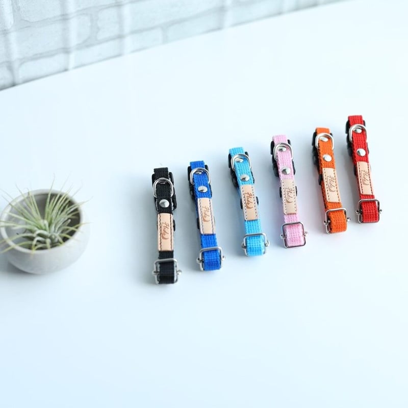 Flids 首輪 SSサイズ(幅1cm) | EPIC-WAN