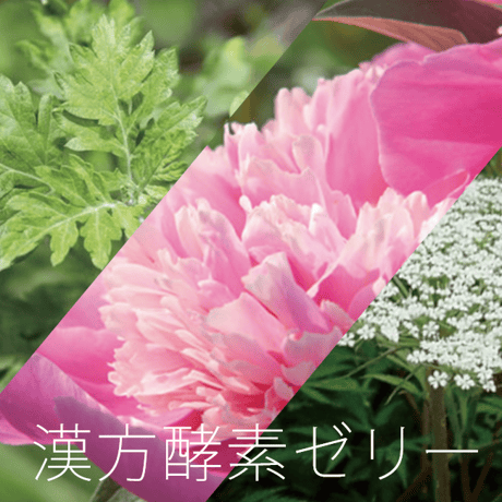 『当帰芍薬酵素ゼリー』誰もが知っている酵素のパワーを取りやすく！酵素が苦手な人でも美味しいと評判です