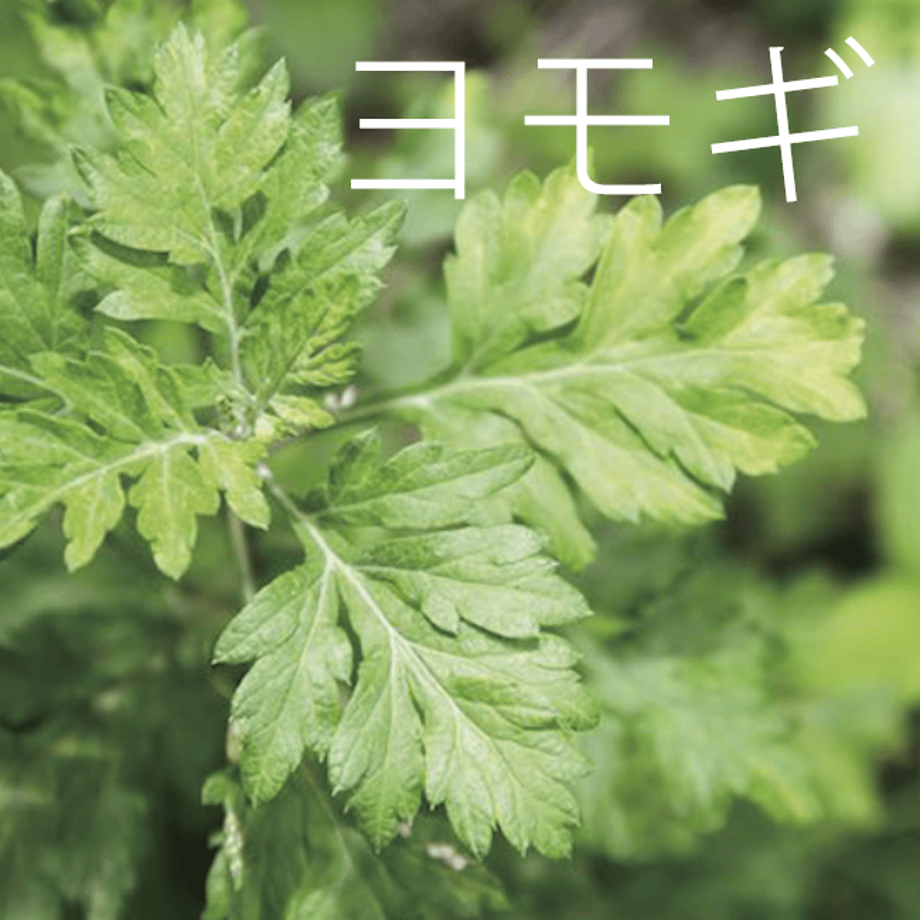 60475c963186251f73648c06