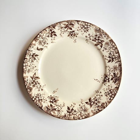 ucサルグミンヌ | STORES