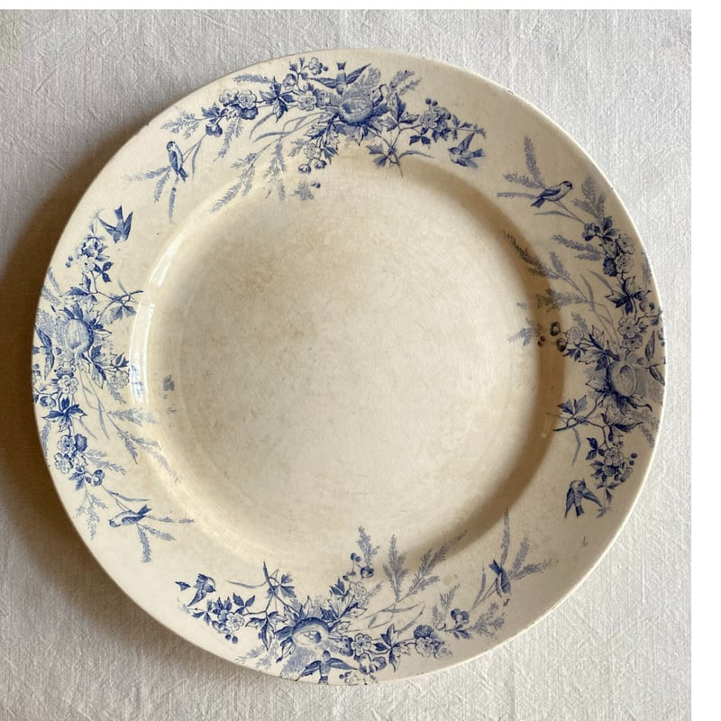 ＊希少＊ 大皿 Creil et Montereau LINOTTE リノット 希少＊ 大皿 Creil et Montereau LINOTTE リノット