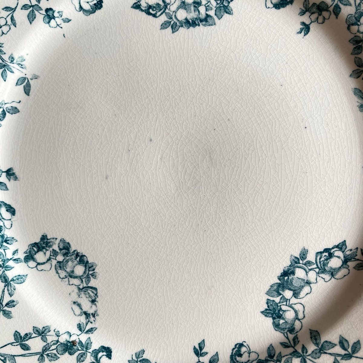 美品　モーツァルト MOZART サルグミンヌU&C SARREGUEMINES アンティークプレート U&Cサルグミンヌ Mozart(モーツァルト） B