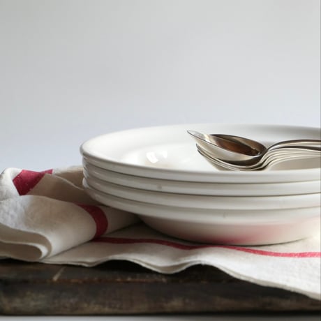 フランスアンティーク　ビストロ皿　地厚　ディゴワン　サルグミンヌ　2枚セット フランスアンティーク ビストロ皿 地厚 ディゴワン サルグミンヌ