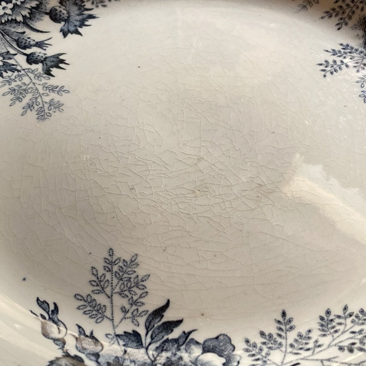 Lesley Roy レスリー ロイ プレート ２枚セット 70905 Lesley Roy レスリー ロイ プレート 2枚セット 70905