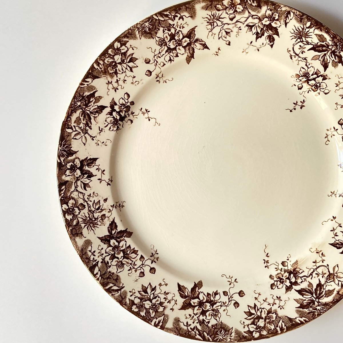 サルグミンヌ窯　ALPHANDプレート U&C Sarreguemines 