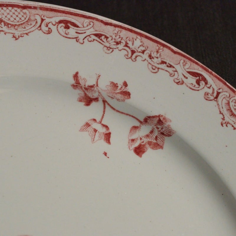 サルグミンヌFontangesフォンタンジュ ラヴィエ【B】