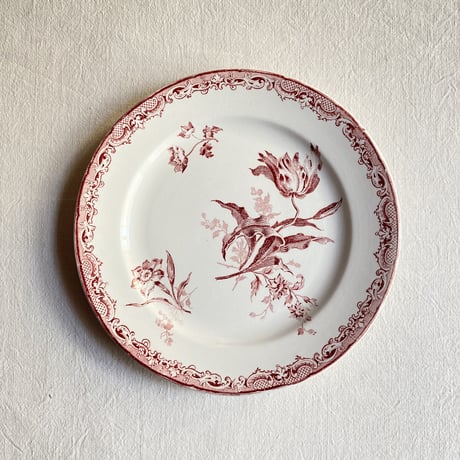 ⭐︎2枚セット⭐︎スープ皿　fontanges (フォンタンジュ) フォンタンジュ | STORES