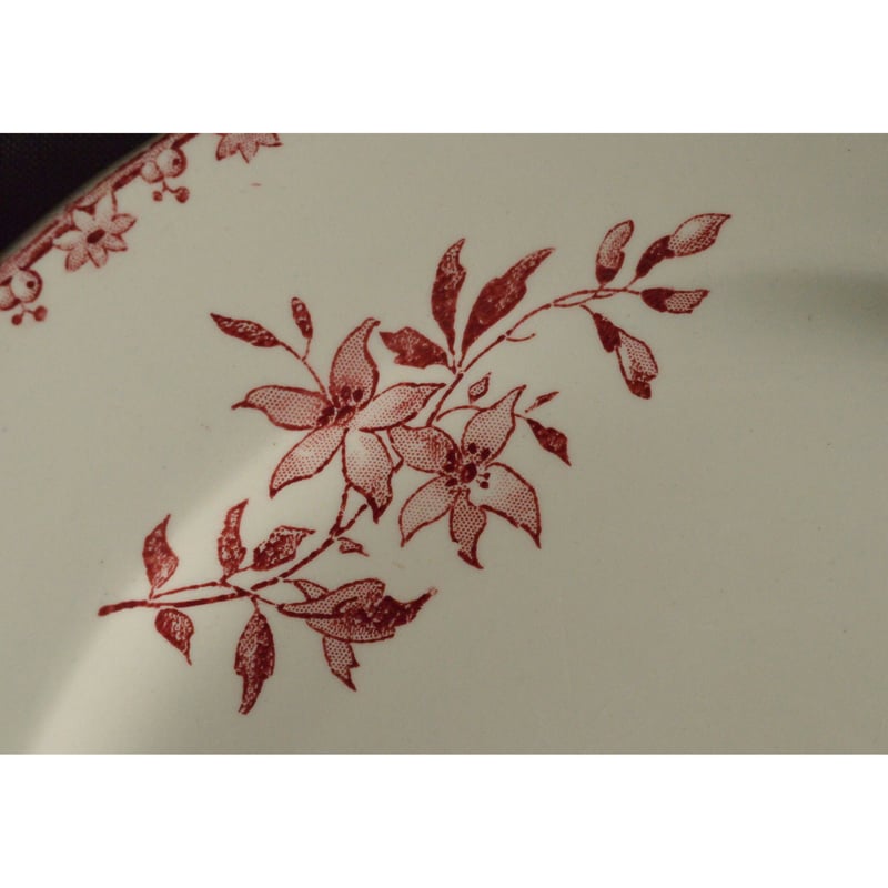 【大きめ】　プレート　小鳥　桜　sarreguemines favori Sarreguemines 