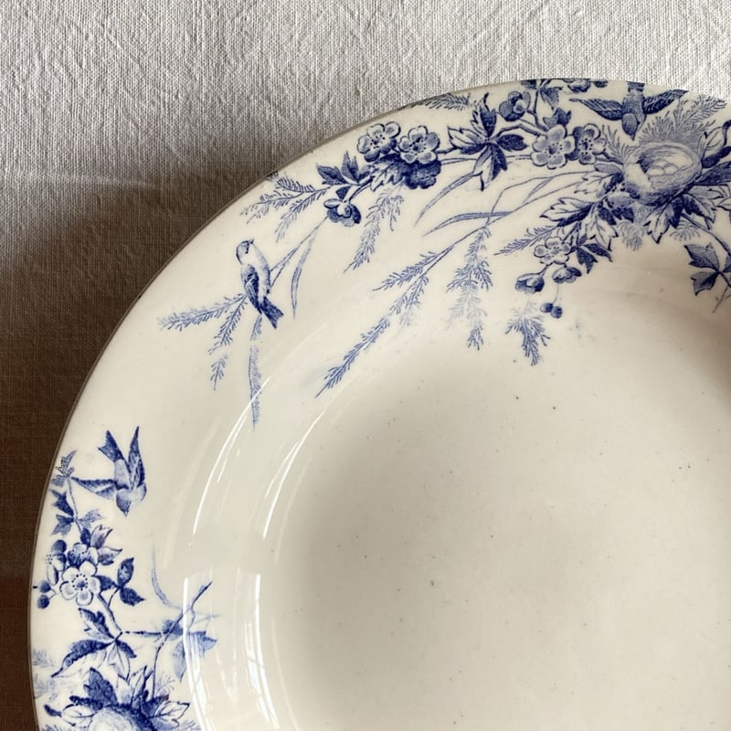 希少＊ 大皿 Creil et Montereau LINOTTE リノット