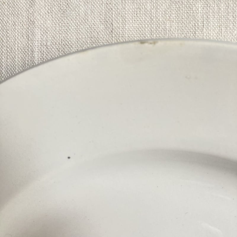 Digoin et Sarreguemines 19世紀の白いお皿 2枚揃え | Reinette