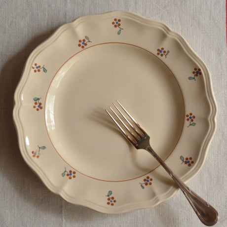 サルグミンヌプレート | STORES