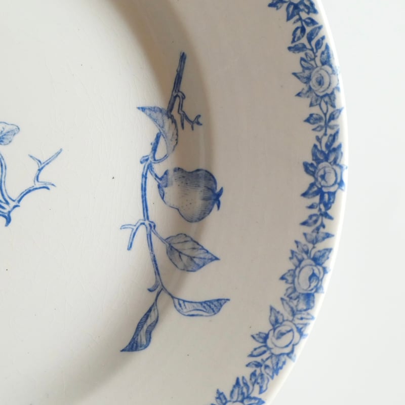 Choisy le Roi ショワジー ル ロワ 果実柄コンポティエ