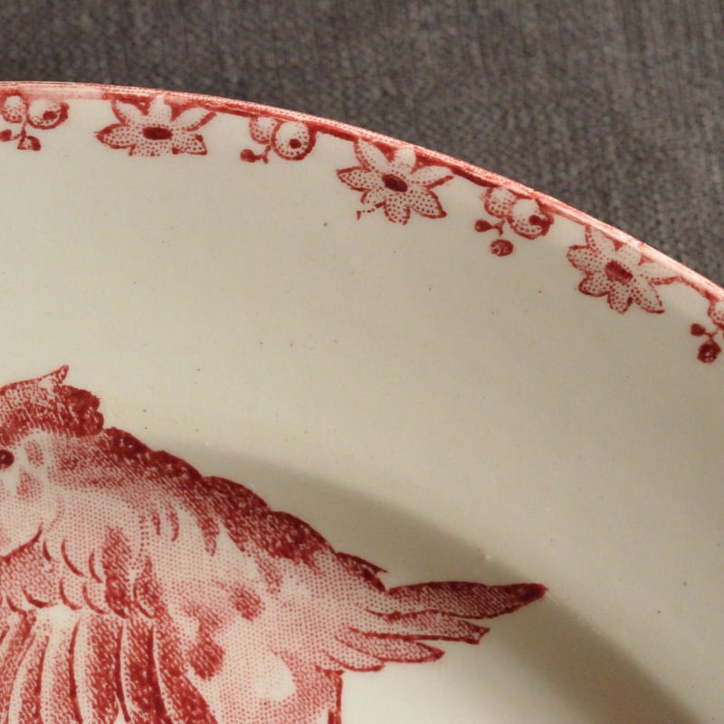 サルグミンヌのラヴィエ　鳥さん　FAVORI　２つセット！ サルグミンヌのラヴィエ 鳥さん FAVORI 2つセット