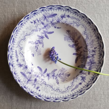 Creil et Montereau 紫色の植物模様のトランスファー 深皿B