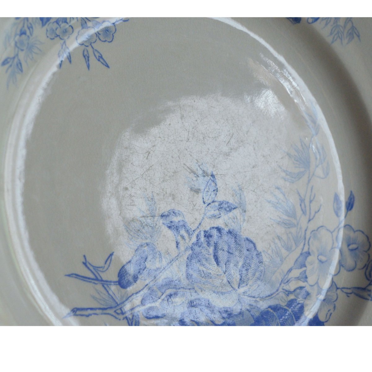 サルグミンヌ 花柄平皿 2枚セット BERTHA 約22.5cm 食器 サルグミンヌ