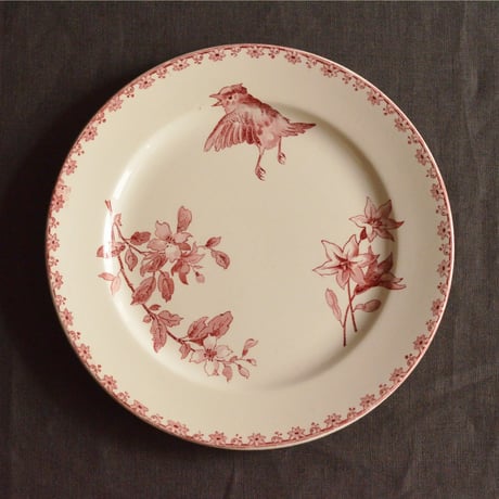 サルグミンヌのラヴィエ 鳥さん FAVORI 2つセット