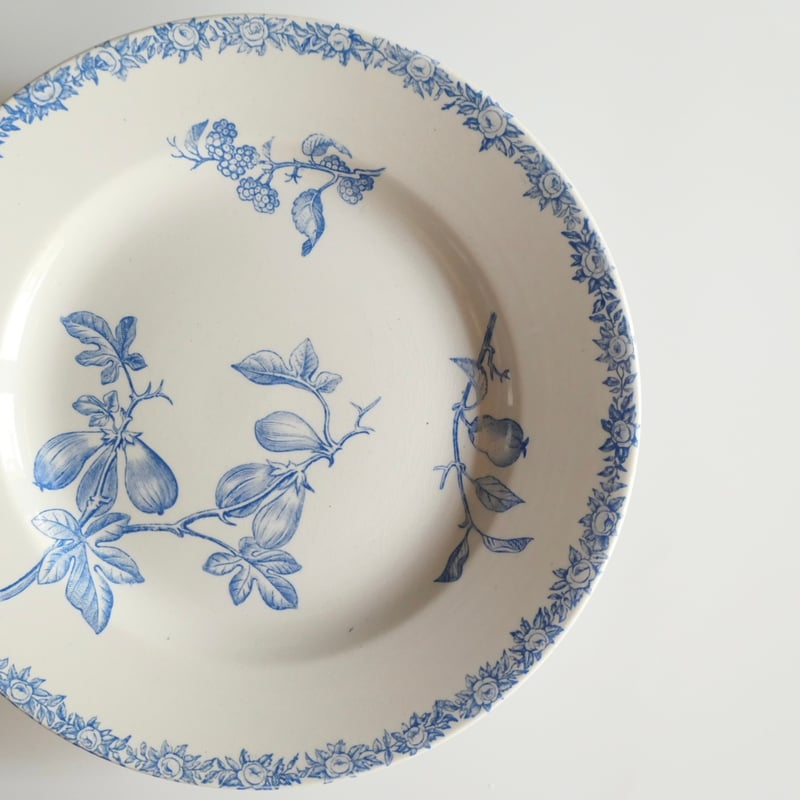 Choisy le Roi ショワジー ル ロワ 果実柄コンポティエ