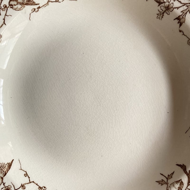 HB &Cie Choisy le Roi ショワジールロワ 小鳥 カップ【D】-