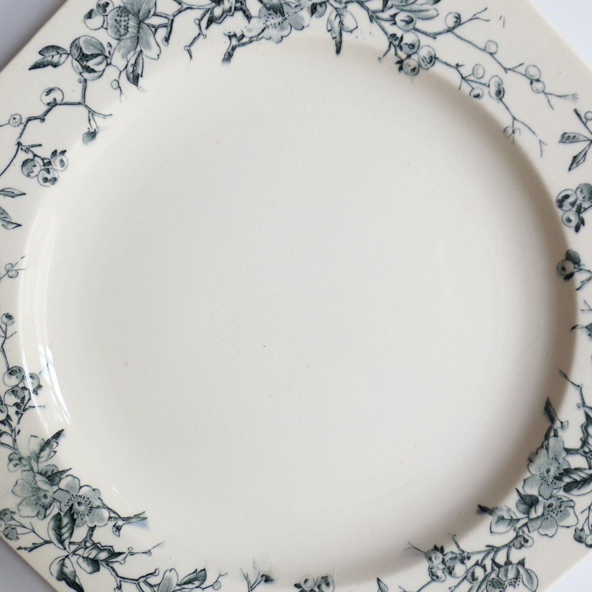 HUGO オクトゴナルプレート HUGO オクトゴナルプレート