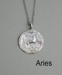 金属アレルギー対応「ieLS」12星座　コインネックレス　シルバー