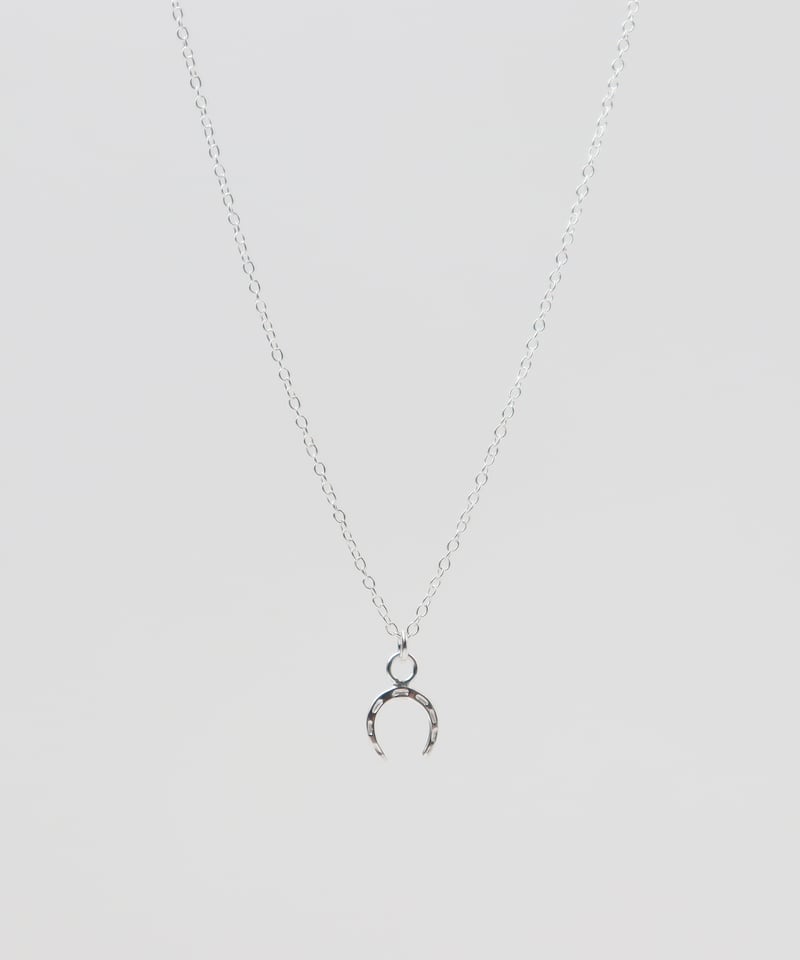 ieLS」Silver925 ナチュラルヒストリーネックレス【ギフト台紙