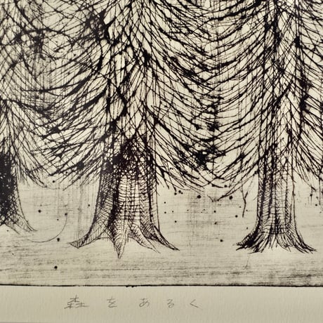 [Walk in the forest] drypoint on paper ：森をあるく（紙版画）
