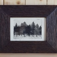 [Forest] original etching limited edition ：森（銅版画）