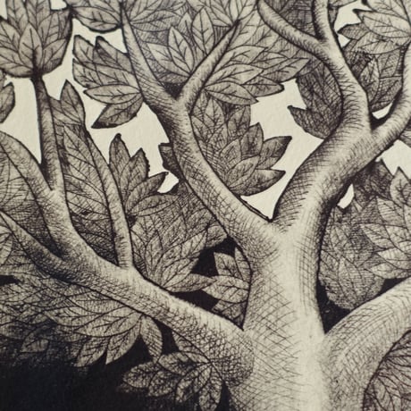 [Life in the woods] drypoint on paper ：森の生活（紙版画）