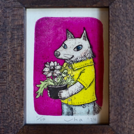 [Wolf and gazania] Etching on paper ：おおかみとガザニア（紙版画）