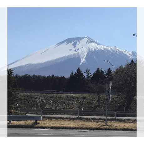 すず竹(篠竹)の小さなかご