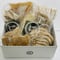 【にぼらや】煮干しらーめん２人前+焼豚チャーシュー6枚入り×２+メンマ７０ｇ×２