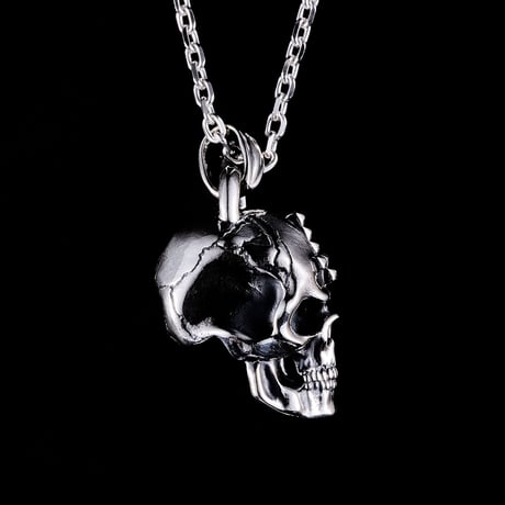 Anti cross skull