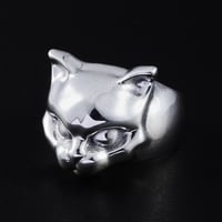 CAT RING