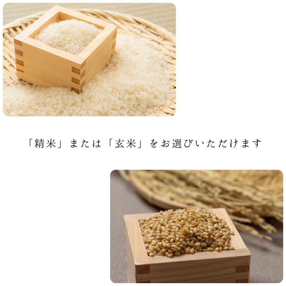 688b41ee130f3443de65ac4d